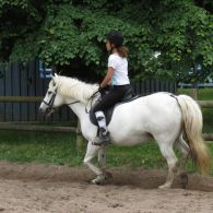 IMG_8105.JPG